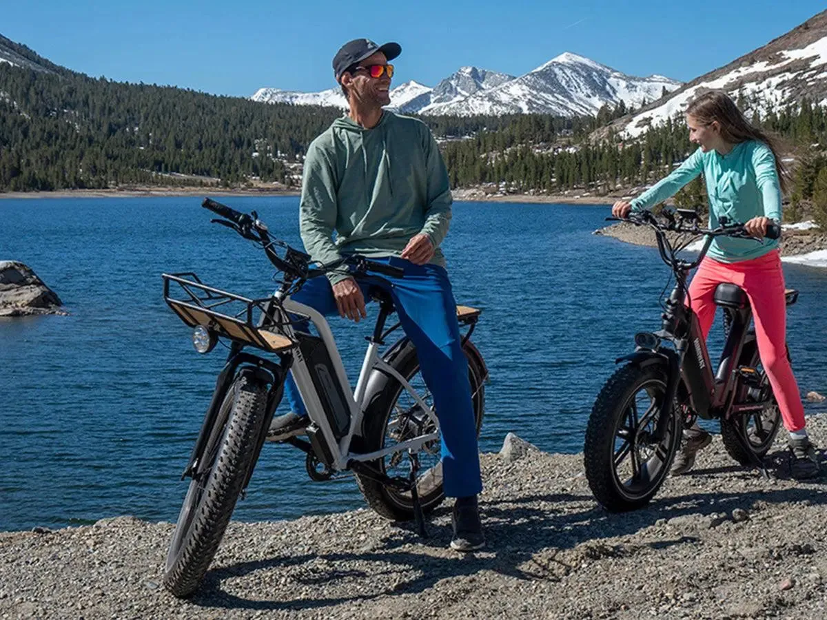 D3 ST(Cruiser ST) / All Terrain Electric Bike - Image 3