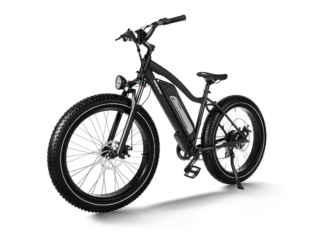 D3(Cruiser) / Long Range Fat Tire Electric Bike - Image 3